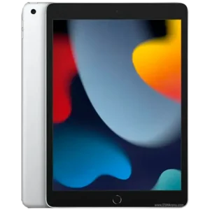 iPad 9ª Gen 64GB Gris